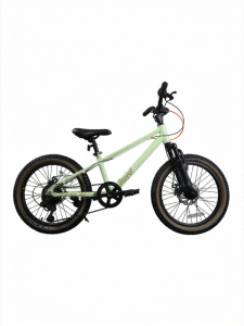 RoyalBaby | Climber Easy Riding Childrens Bicycle