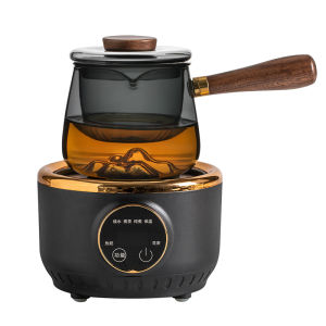 SANXUN | Glass Tea Pot with Electric Stove and Temperature Control Base