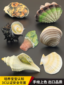 Solid Marine Animal Toy Model Childrens Educational Gift Shellfish Oyster Fan Clam Simulation Plaything Collectible Decoration