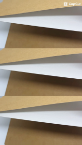 10 BONUS Kraft Folder Long & Short – Durable File Organizer | Eco-Friendly Office & School Supplies