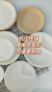 Disposable Paper Plates for Crafts Kids Art and Playdough