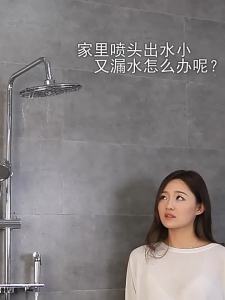 Stainless Steel Pressurized Shower Head