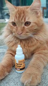Cassiel Pet Obat Tetes Telinga Anjing/Kucing - Atasi Conge Ear Mites & Infeksi Isi 20ml | BPOM