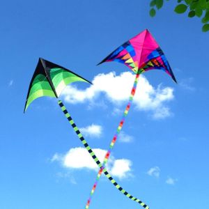 New Children kites flying outdoor fun toys nylon delta kite factory summer toys kitesurf wing kites line wind dragon naish buggy