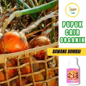 Pupuk Organik Cair Bawang Bombai 100 Ml Hormon Pelebat Dan Penggemuk Tanaman By Jagotani Yogyakarta