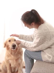 ขนมขัดฟันสัตว์เลี้ยง", เป็น "ขนมหมา หลากหลายแบบ" ซึ่งเป็น "ไม่มีเบื่อ