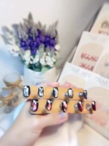 NAILBOX THIẾT KẾ MẪU MẮT MÈO HÌNH BƯỚM - M025