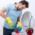 Cherry Toilet Brush Cute Stand Bathroom Toilet Cleaner Brushes Long Handle Toilet Brush with Cherry shaped Holder cleaning Set. 