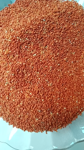 Hạt kê đỏ cho chim cảnh 1kg