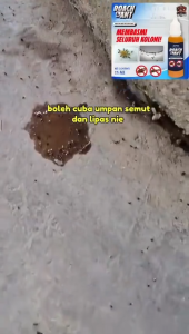 Roach Ant Killer Gel 15ml Bait Non-Toxic Fast Action Cockroach Ant Control