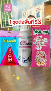 ไซรูมแบค 500 ซีสี สารป้องกันการซับซ้อนเชื้อรา โรคราสนิม โรครากเน่า โรคดอกธูป การให้คุณรู้สึกค่า และให้แบคที่เรีย