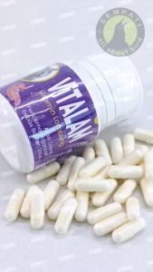 SEMPATI Vitamin Lambung Kucing Per Butir Kapsul Obat Lambung Kucing Cat Kitten Adult Anabul Cegah Atasi Diare Muntah Lesu Lemas Mencret Radang Usus Obat Kucing Sakit Perut