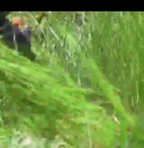 Mesin Rumput 288VF Lithium Battery Ladderman Cordless Lawn Mower Rechargeable Grass Cutter Trimmer Mesin Potong Rumput