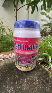 เมทาแลกซิล (สีชมพู) สารป้องกันกำจัดโรครากเน่า โคนเน่า