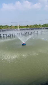 Máy bơm phun mưa tạo cảnh quan ao nuôi tôm cá tăng oxy 1500kw 220V