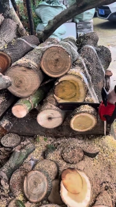 🔥การรับประกัน 5 ปี🔥เลื่อยไฟฟ้าไร้สาย 12 นิ้ว 99990Wแบต 2 ก้อน {48000mAH*2} 68Vกำลังไฟ เลื่อยโซ่ไฟฟ้า รับประกันของแท้ เลื่อยโซ่ไร้สาย ใช้สำหรับตัดแต่งกิ่ง แยกฟืน เครื่องมือตัด มอเตอร์ไร้แปรงถ่า การตัดต้นไม้ใหญ่ 60ซม.เร็วด้วยแห้งและเปียก