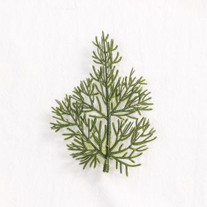 Ruiqi Artificial Flower Plastic Water Plant Simulation Grass Cake Green Plant Decoration Accessories Plate Leaves Fake Grass Green Leaves