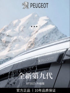 HANNENGDA | Peugeot 5008 Compatible Car Rain Visor
