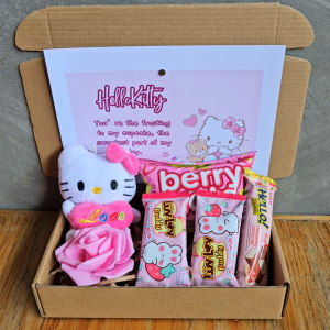 ✨ Pink Strawberry Hello Cute Kitty Doll Plushie Berry Treats Thoughtful Gift for Girlfriend Her Valentines LDR Surprise Package Giftsets