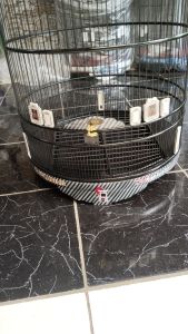 sangkar murai no 2 jeruji fiber tebok bambu ceper decal airbrush merk D&R