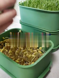 Máy Trồng Giá Đỗ Tự Động Không Dùng Điện Khay Trồng Rau Mầm Tại Nhà Hiệu Quả Không Cần Tưới