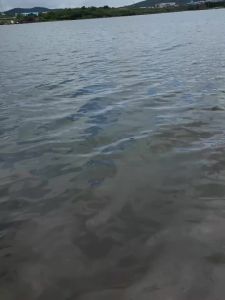 fishingfans | Máy Câu Cá Điện Tử Thông Minh FISHINGFANS DC Tốc Độ Cao Hệ Thống Phanh Điện Tử Tỉ Số Truyền 7.8:1 Quay Xa 11+1BB Giảm Tiếng Ồn Kim Loại Câu Cá Biển Và Sông