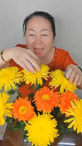 Gói dưỡng hoa dr NATRO 5ml tươi lâu từ 10-15 ngày