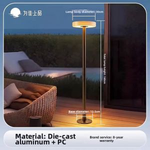 VINCAN | Outdoor Waterproof Solar Garden Floor Lamp
