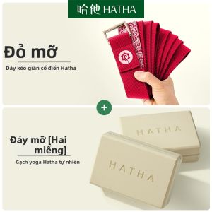 Khối Yoga Mật Độ Cao Hỗ Trợ Đào Tạo