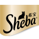 Sheba GLOBAL