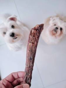 Duck Neck คอเป็ดอบแห้ง ขัดฟันสุนัข น้องหมาชอบมาก umm ขนมหมา