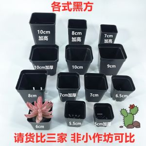Small Black Square Plastic Flower Pot for Succulent Plant Propagation Tray Nutrient Potted Square Box Universal Pot round Bottom