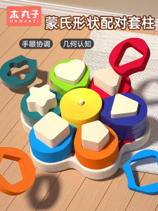 Đồ Chơi Giáo Dục Hình Học Montessori Cho Bé Trai Và Bé Gái Từ 3 Đến 6 Tuổi Đồ Chơi Lắp Ráp Khối Giáo Dục Sớm