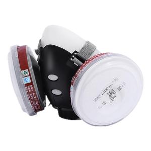 TAODUN | Toxic Gas Respirator Full Face Mask for Painting Lab Chemical H2S Dust