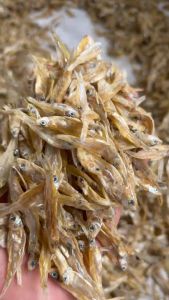 ปลาชิงชัง ปลาซิวตากแห้ง 1 กิโลกรัม