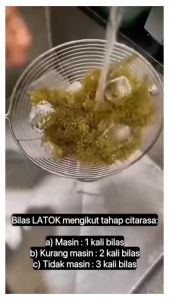 Latok Pop Pop Shrink