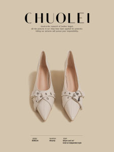 CHUOLEI | Spring New Mid Block Heel Mary Jane Flat Shoes Women White