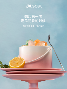 Long-Lasting Aromatherapy Diffuser Stone Gift for Friends Birthday Indoor Decorative Fragrance Ornament Best Friend Gift