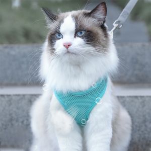 Cat Harness Set - 3 Colors, High-Quality Leather, Adjustable, Perfect for Play and Walking. Free Shipping