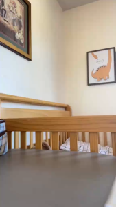 Quần Tất Chữ X Siêu Co Giãn Dáng Ôm Tự Nhiên Tôn Chân Dài Mịn Màng Che Khuyết Điểm Thời Trang Nữ Cao Cấp