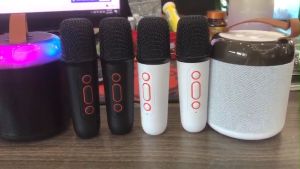 Loa bluetooth mini karaoke kèm mic Y2 không dây kèm 02 mic hát công suất 5W nhỏ gọn âm thanh chất lượng