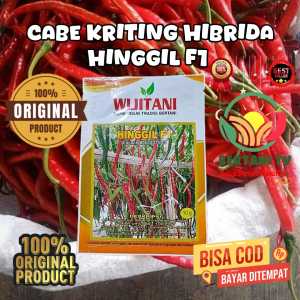 Cabe kriting Hinggil F1 kmsn 10 gr  tahanvirus layu fusarium dan antraknosa panjangbuah 15-17 cm ccokuntuk dataran rendah- tinggi umurpanen 85-90 hst bbot buah 5-6 gr perbuah