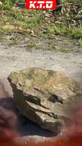 Double Face Spring PVC Handle Sledge Hammer Anti Vibration Handle 8LB / 10LB / 12LB / Tukul Besi Skateboard With Handle Lead Hammer - Lazada