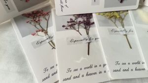 GIFT(ส่งด่วน1-2วัน)การ์ดดอกไม้เเห้ง การ์ดอวยพรวันเกิด การ์ดสำเร็จการศึกษา การ์ดวันวาเลนไทน์ ดอกไม้เเห้ง