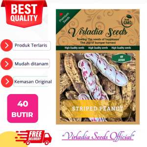 [Virladia Seeds] 40 Biji Benih tanaman Kacang Tanah Lurik