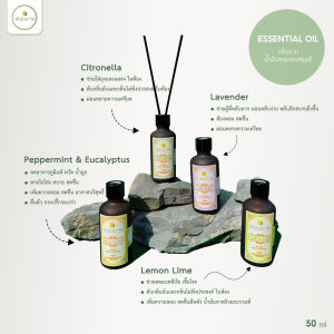 PLEARN ก้านไม้หอมปรับอากาศ 50ml Aroma Reed Diffuser ( ก้านไม้แบบfiber ) ห้องหอมสดชื่น ก้านไม้หอม น้ำหอมปรับอากาศ ก้านไม้ ก้านไม้หอม ปรับอากาศ - Lazada