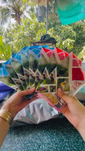 (combo 5 dưỡng hot+3vip) Cám dưỡng hot vip căng lửa Lê Thịnh dành cho chim hút mật