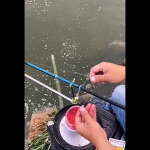 300gr Umpan Fermentasi Cacing Darah Siap Pakai dengan Aroma Amis Gurih Memiliki Aroma Menarik Mangsa Ikan