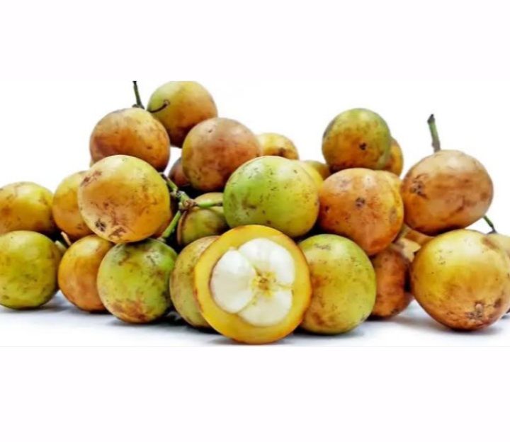 Buah%20menteng%20500%20gram%20buah%20kapundung%20buah%20langsat%20buah%20duku%20condet%20buah%20musiman%20buah%20langka%20-%20Image%204