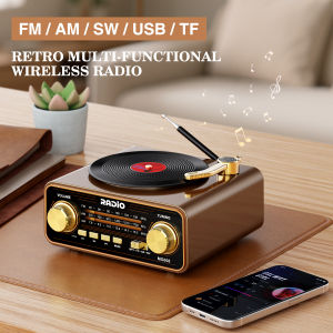 Retro Vinyl Player Style Radio Portable FM/AM/SW & Wireless Streaming Unique Vintage Decor for Home & Gift Idea